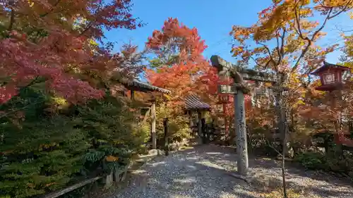 鍬山神社(京都府)