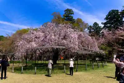 賀茂別雷神社（上賀茂神社）(京都府)