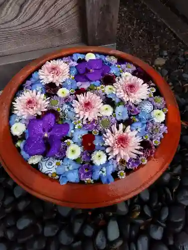 相模原氷川神社(神奈川県)