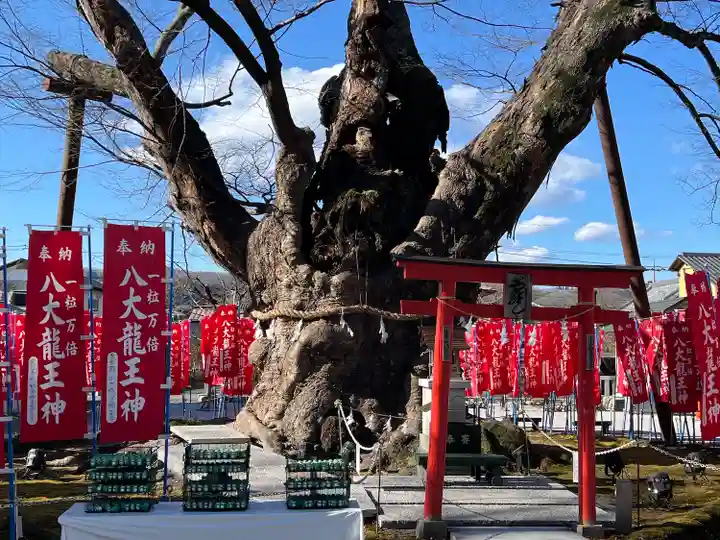 秩父今宮神社(埼玉県)