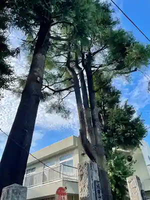 圓能寺(東京都)