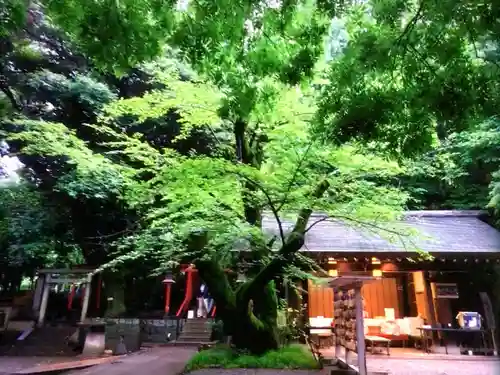 乃木神社(東京都)