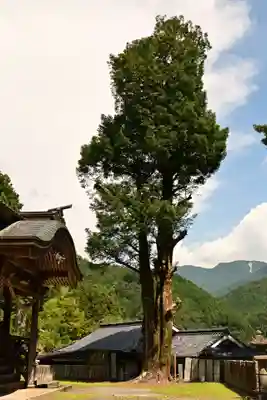 三島神社(愛媛県)