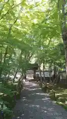 地蔵院の建物その他