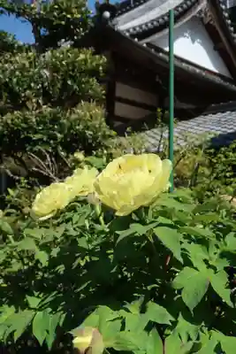 万福寺(愛知県)