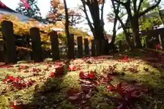 神峯山寺の自然