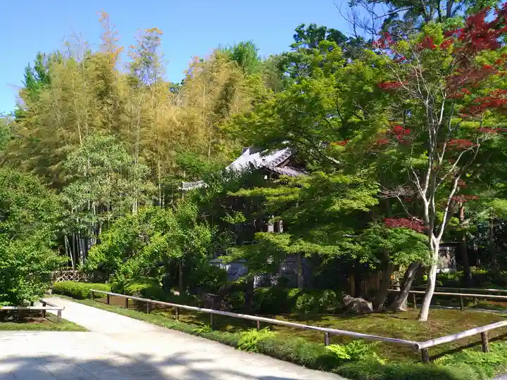 宝珠山 観泉寺(東京都)