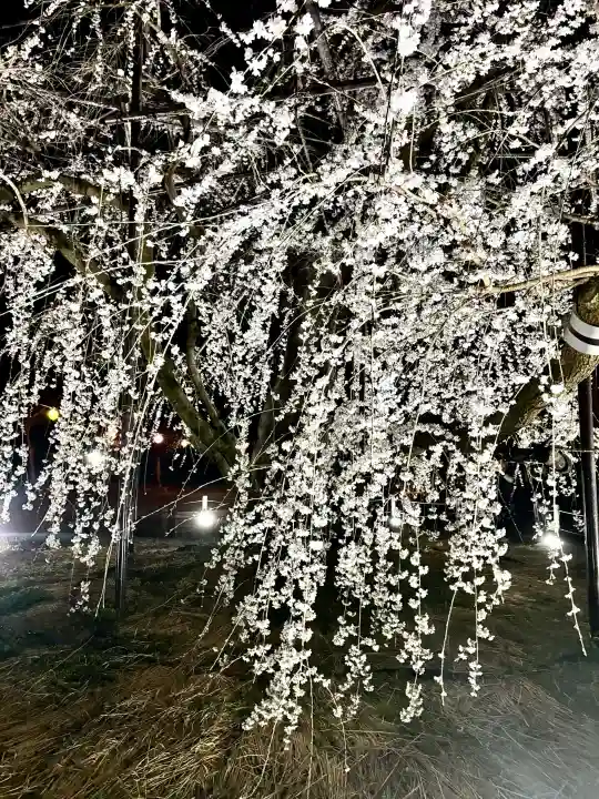八幡社の{uncategorized: "未分類", other: "その他", undefined: "問題あり", building: "その他建物", grave: "お墓", sacred_gate: "鳥居", guardian: "狛犬", statue: "像", buddha: "仏像", history: "歴史", nature: "自然", garden: "庭園", animal: "動物", pagoda: "塔", temizu: "手水舎", mountain_gate: "山門・神門", sanctuary: "本殿・本堂", subordinate: "末社・摂社", art: "芸術", scenery: "景色", jizo: "地蔵", ema: "絵馬", goshuin: "御朱印", omikuji: "おみくじ", items: "授与品その他", amulet: "お守り", goshuincho: "御朱印帳", eats: "食事", festival: "お祭り", votive_dance: "神楽", shichigosan: "七五三参", wedding: "結婚式", experience: "体験その他", initially: "初詣", around: "周辺", anti_infection: "感染症対策"}