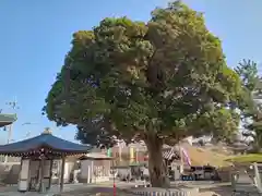 帝釈寺(大阪府)