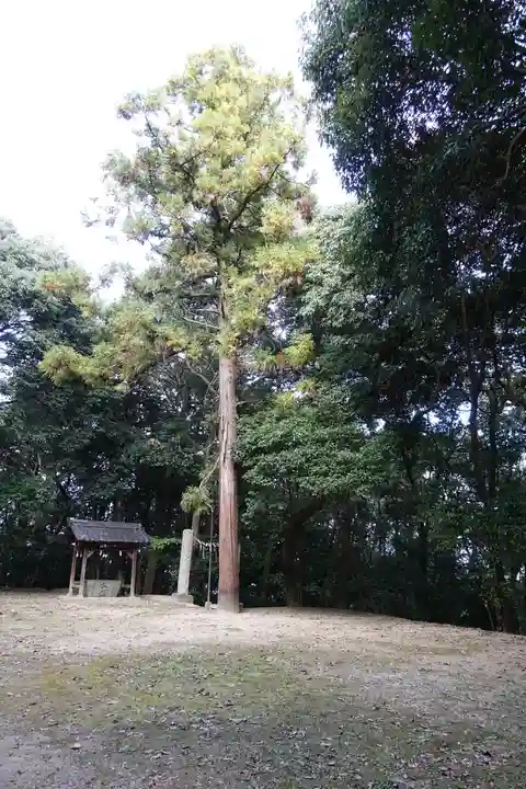 耳成山口神社の自然