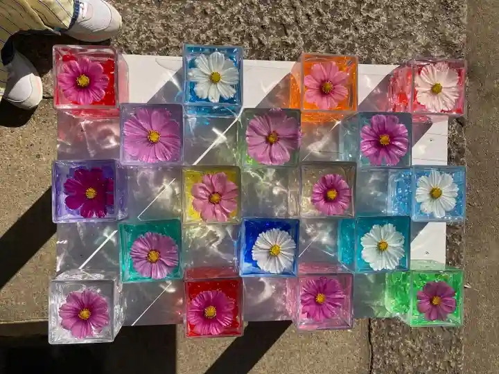 般若寺 ❁コスモス寺❁(奈良県)