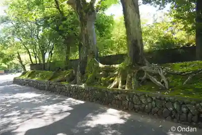 廣隆寺(京都府)