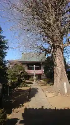 法林寺の本殿・本堂