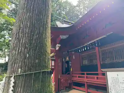 富士山東口本宮 冨士浅間神社(静岡県)