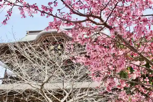 建長寺の自然