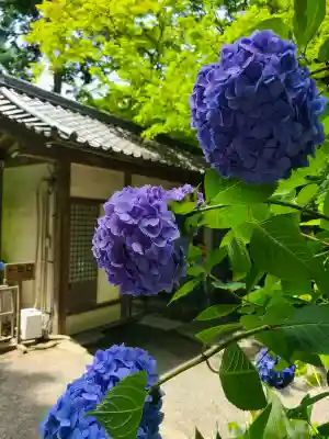 明月院(神奈川県)