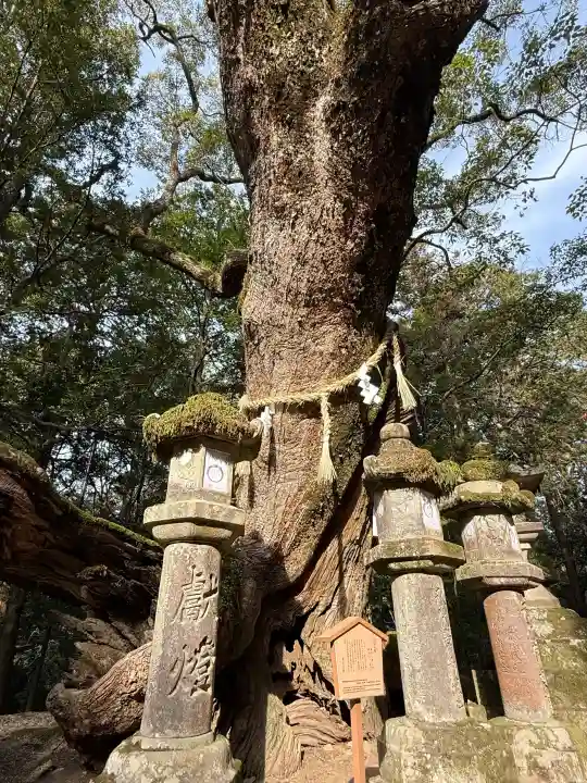 春日大社の{uncategorized: "未分類", other: "その他", undefined: "問題あり", building: "その他建物", grave: "お墓", sacred_gate: "鳥居", guardian: "狛犬", statue: "像", buddha: "仏像", history: "歴史", nature: "自然", garden: "庭園", animal: "動物", pagoda: "塔", temizu: "手水舎", mountain_gate: "山門・神門", sanctuary: "本殿・本堂", subordinate: "末社・摂社", art: "芸術", scenery: "景色", jizo: "地蔵", ema: "絵馬", goshuin: "御朱印", omikuji: "おみくじ", items: "授与品その他", amulet: "お守り", goshuincho: "御朱印帳", eats: "食事", festival: "お祭り", votive_dance: "神楽", shichigosan: "七五三参", wedding: "結婚式", experience: "体験その他", initially: "初詣", around: "周辺", anti_infection: "感染症対策"}