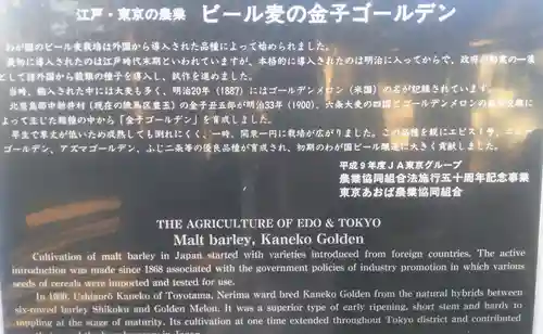 豊玉氷川神社の歴史