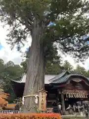 北口本宮冨士浅間神社(山梨県)