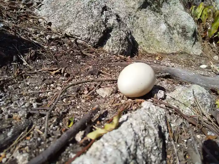 見塔寺(滋賀県)
