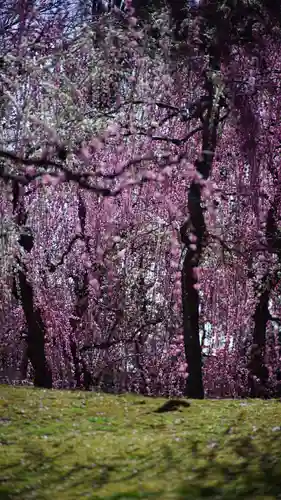 城南宮(京都府)