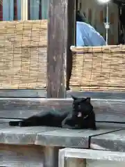 高司神社〜むすびの神の鎮まる社〜(福島県)