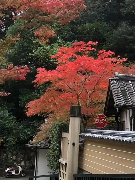 清荒神清澄寺の自然