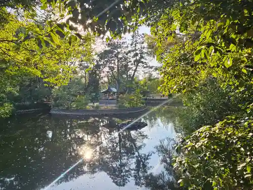 武蔵一宮氷川神社(埼玉県)