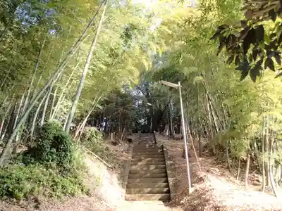 吉田杉山神社の周辺