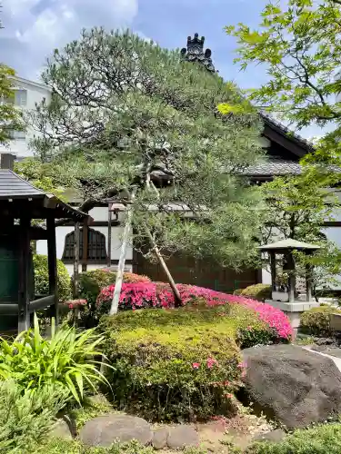 正覚寺(東京都)