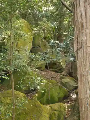 住吉神社の自然
