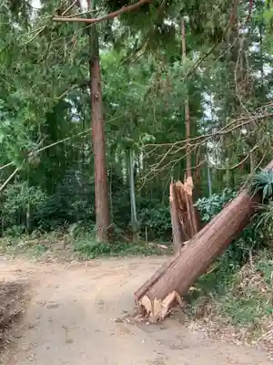 熊野神社の周辺