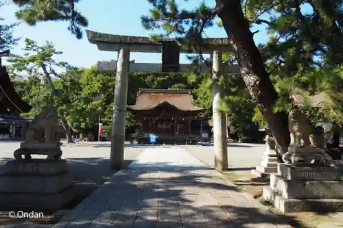 長浜八幡宮(滋賀県)
