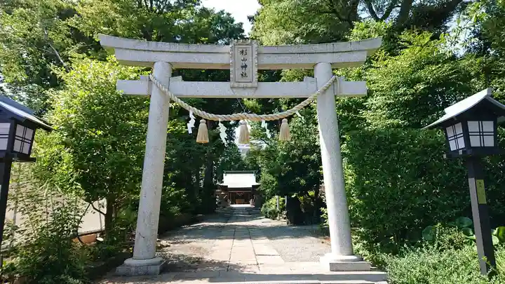 星川杉山神社の鳥居