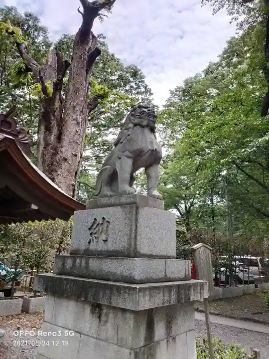 大國魂神社の狛犬