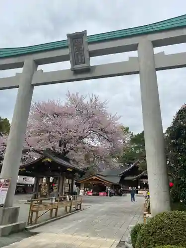 出雲大社相模分祠の鳥居