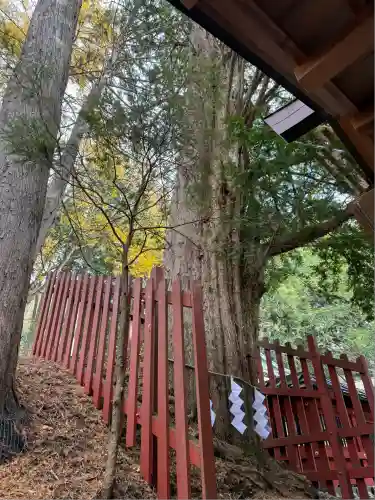 日光二荒山神社中宮祠(栃木県)