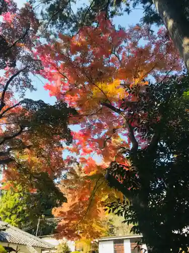 熊野本宮大社の自然