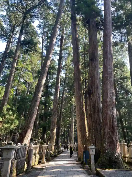 高野山金剛峯寺奥の院(和歌山県)
