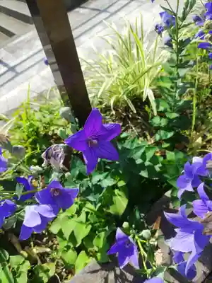 祖母井神社(栃木県)
