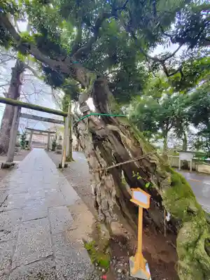 一言主神社(茨城県)