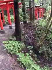 萬蔵稲荷神社の鳥居