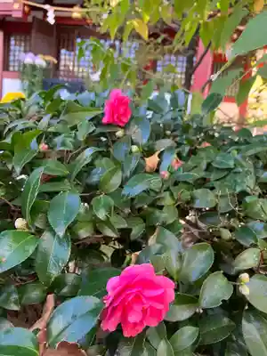 亀戸天神社(東京都)