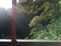 高龍神社の自然