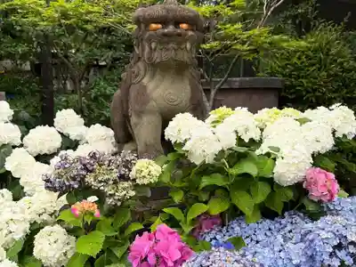 白山神社(東京都)