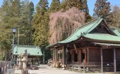 仙台東照宮の{uncategorized: "未分類", other: "その他", undefined: "問題あり", building: "その他建物", grave: "お墓", sacred_gate: "鳥居", guardian: "狛犬", statue: "像", buddha: "仏像", history: "歴史", nature: "自然", garden: "庭園", animal: "動物", pagoda: "塔", temizu: "手水舎", mountain_gate: "山門・神門", sanctuary: "本殿・本堂", subordinate: "末社・摂社", art: "芸術", scenery: "景色", jizo: "地蔵", ema: "絵馬", goshuin: "御朱印", omikuji: "おみくじ", items: "授与品その他", amulet: "お守り", goshuincho: "御朱印帳", eats: "食事", festival: "お祭り", votive_dance: "神楽", shichigosan: "七五三参", wedding: "結婚式", experience: "体験その他", initially: "初詣", around: "周辺", anti_infection: "感染症対策"}