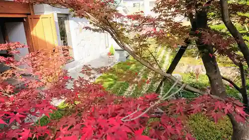 寿量山　速成寺の自然