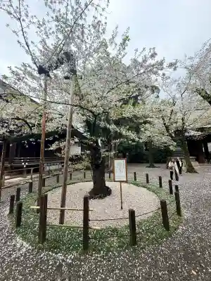 靖國神社(東京都)