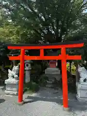 富士山本宮浅間大社(静岡県)