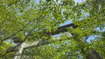 宝満宮竈門神社(福岡県)
